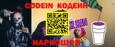 apvp Кингисепп