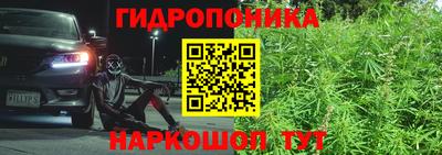 Альфа ПВП Канаш