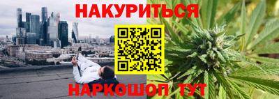 apvp Кингисепп