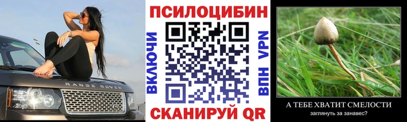 Галлюциногенные грибы Psilocybe Котлас