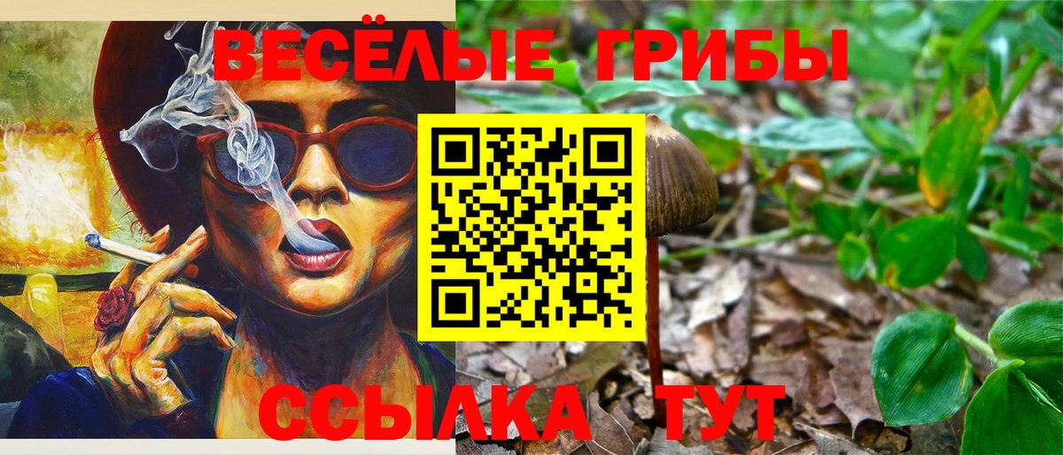 Псилоцибиновые грибы MAGIC MUSHROOMS Котлас