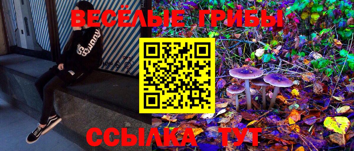 Галлюциногенные грибы MAGIC MUSHROOMS  Вход с VPN  Котлас  Псилоцибиновые грибы мицелий 